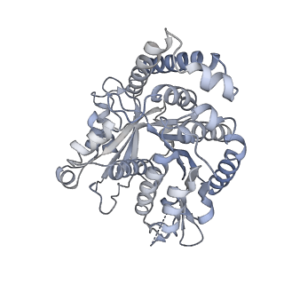 40220_8glv_X3_v1-2
96-nm repeat unit of doublet microtubules from Chlamydomonas reinhardtii flagella