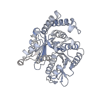 40220_8glv_X4_v1-2
96-nm repeat unit of doublet microtubules from Chlamydomonas reinhardtii flagella