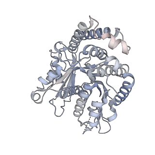40220_8glv_X5_v1-2
96-nm repeat unit of doublet microtubules from Chlamydomonas reinhardtii flagella