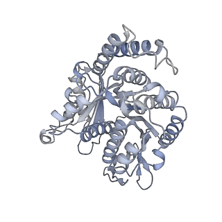 40220_8glv_X6_v1-2
96-nm repeat unit of doublet microtubules from Chlamydomonas reinhardtii flagella