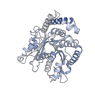 40220_8glv_X7_v1-2
96-nm repeat unit of doublet microtubules from Chlamydomonas reinhardtii flagella