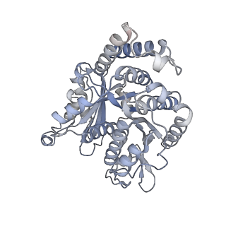 40220_8glv_X8_v1-2
96-nm repeat unit of doublet microtubules from Chlamydomonas reinhardtii flagella