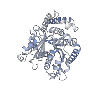 40220_8glv_X9_v1-2
96-nm repeat unit of doublet microtubules from Chlamydomonas reinhardtii flagella