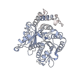 40220_8glv_Y0_v1-2
96-nm repeat unit of doublet microtubules from Chlamydomonas reinhardtii flagella