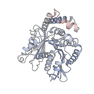 40220_8glv_Y1_v1-2
96-nm repeat unit of doublet microtubules from Chlamydomonas reinhardtii flagella