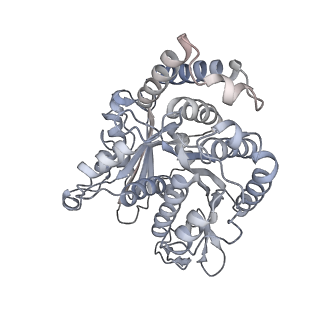 40220_8glv_Y2_v1-2
96-nm repeat unit of doublet microtubules from Chlamydomonas reinhardtii flagella