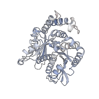 40220_8glv_Y4_v1-2
96-nm repeat unit of doublet microtubules from Chlamydomonas reinhardtii flagella