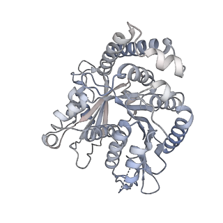 40220_8glv_Y5_v1-2
96-nm repeat unit of doublet microtubules from Chlamydomonas reinhardtii flagella