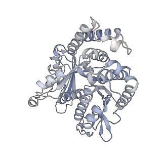 40220_8glv_Y6_v1-2
96-nm repeat unit of doublet microtubules from Chlamydomonas reinhardtii flagella