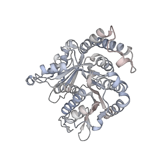40220_8glv_Y8_v1-2
96-nm repeat unit of doublet microtubules from Chlamydomonas reinhardtii flagella