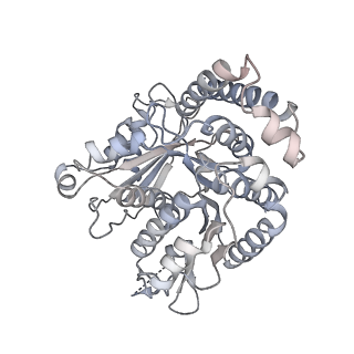 40220_8glv_Y9_v1-2
96-nm repeat unit of doublet microtubules from Chlamydomonas reinhardtii flagella