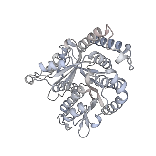 40220_8glv_Z0_v1-2
96-nm repeat unit of doublet microtubules from Chlamydomonas reinhardtii flagella