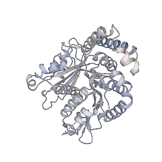 40220_8glv_Z1_v1-2
96-nm repeat unit of doublet microtubules from Chlamydomonas reinhardtii flagella