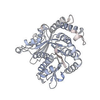 40220_8glv_Z2_v1-2
96-nm repeat unit of doublet microtubules from Chlamydomonas reinhardtii flagella