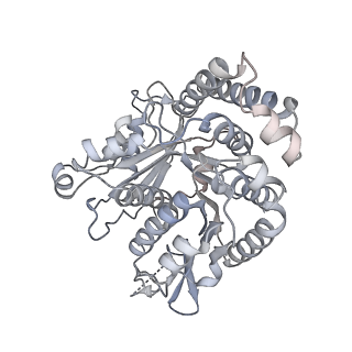 40220_8glv_Z3_v1-2
96-nm repeat unit of doublet microtubules from Chlamydomonas reinhardtii flagella