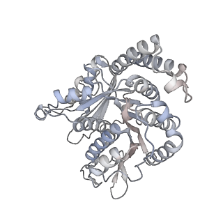40220_8glv_Z4_v1-2
96-nm repeat unit of doublet microtubules from Chlamydomonas reinhardtii flagella
