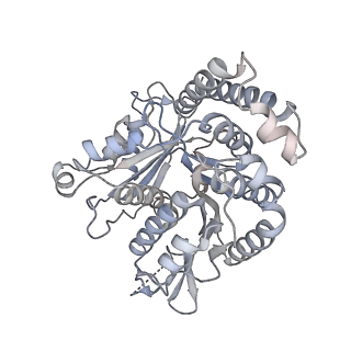 40220_8glv_Z5_v1-2
96-nm repeat unit of doublet microtubules from Chlamydomonas reinhardtii flagella