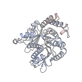 40220_8glv_Z6_v1-2
96-nm repeat unit of doublet microtubules from Chlamydomonas reinhardtii flagella