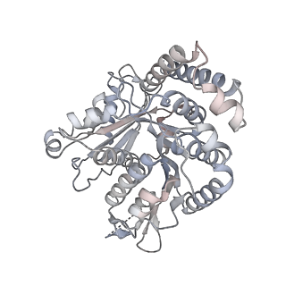 40220_8glv_Z7_v1-2
96-nm repeat unit of doublet microtubules from Chlamydomonas reinhardtii flagella