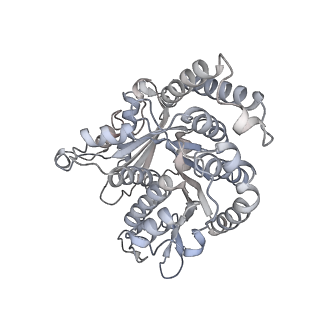 40220_8glv_Z8_v1-2
96-nm repeat unit of doublet microtubules from Chlamydomonas reinhardtii flagella