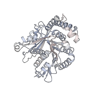 40220_8glv_Z9_v1-2
96-nm repeat unit of doublet microtubules from Chlamydomonas reinhardtii flagella