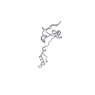 40220_8glv_za_v1-2
96-nm repeat unit of doublet microtubules from Chlamydomonas reinhardtii flagella