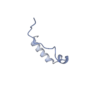40220_8glv_zn_v1-2
96-nm repeat unit of doublet microtubules from Chlamydomonas reinhardtii flagella