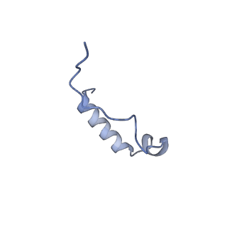40220_8glv_zo_v1-2
96-nm repeat unit of doublet microtubules from Chlamydomonas reinhardtii flagella