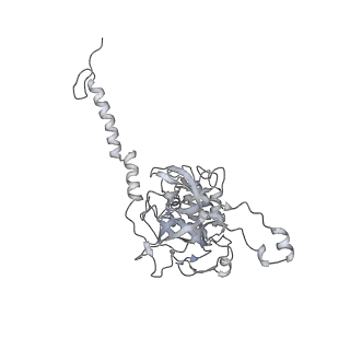 40220_8glv_zp_v1-2
96-nm repeat unit of doublet microtubules from Chlamydomonas reinhardtii flagella
