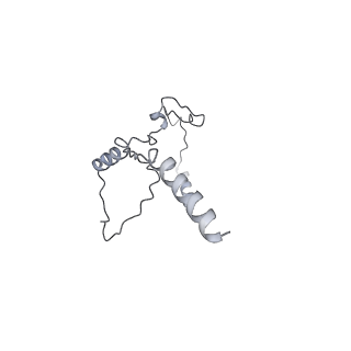 40220_8glv_zs_v1-2
96-nm repeat unit of doublet microtubules from Chlamydomonas reinhardtii flagella