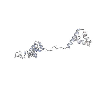 40220_8glv_zt_v1-2
96-nm repeat unit of doublet microtubules from Chlamydomonas reinhardtii flagella