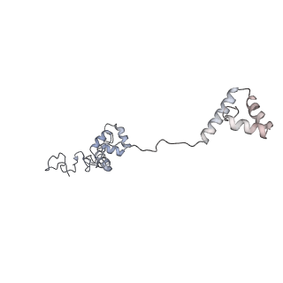 40220_8glv_zu_v1-2
96-nm repeat unit of doublet microtubules from Chlamydomonas reinhardtii flagella