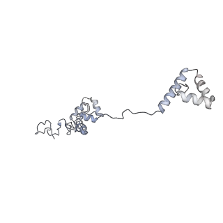 40220_8glv_zv_v1-2
96-nm repeat unit of doublet microtubules from Chlamydomonas reinhardtii flagella