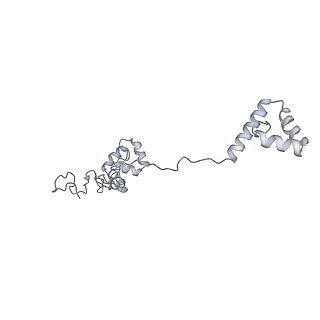 40220_8glv_zw_v1-2
96-nm repeat unit of doublet microtubules from Chlamydomonas reinhardtii flagella