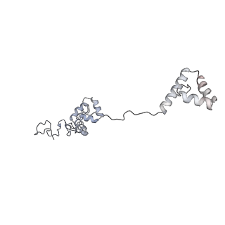 40220_8glv_zx_v1-2
96-nm repeat unit of doublet microtubules from Chlamydomonas reinhardtii flagella