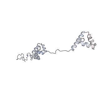 40220_8glv_zy_v1-2
96-nm repeat unit of doublet microtubules from Chlamydomonas reinhardtii flagella