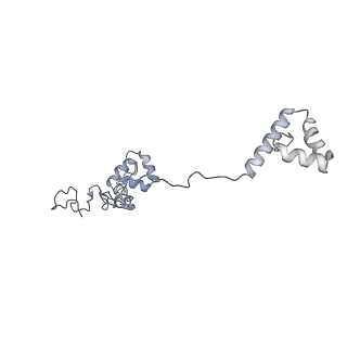 40220_8glv_zz_v1-2
96-nm repeat unit of doublet microtubules from Chlamydomonas reinhardtii flagella