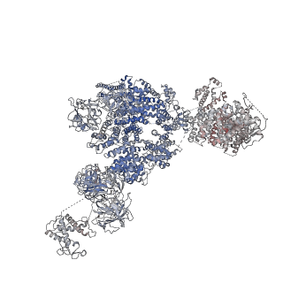 9520_5gl0_A_v1-3
Structure of RyR1 in a closed state (C4 conformer)