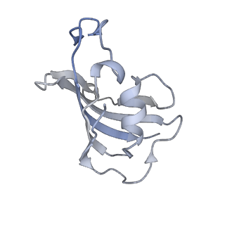 9520_5gl0_B_v1-4
Structure of RyR1 in a closed state (C4 conformer)