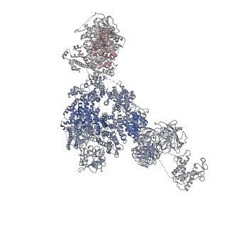 9520_5gl0_C_v1-3
Structure of RyR1 in a closed state (C4 conformer)