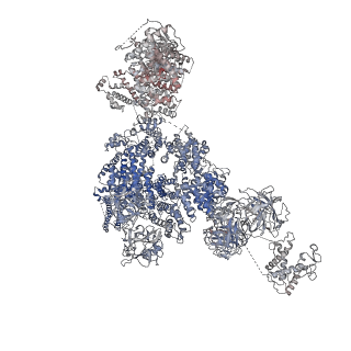 9520_5gl0_C_v1-4
Structure of RyR1 in a closed state (C4 conformer)