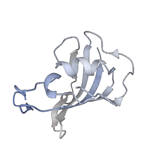 9520_5gl0_D_v1-3
Structure of RyR1 in a closed state (C4 conformer)