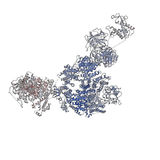 9520_5gl0_E_v1-3
Structure of RyR1 in a closed state (C4 conformer)