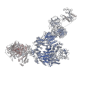 9520_5gl0_E_v1-4
Structure of RyR1 in a closed state (C4 conformer)