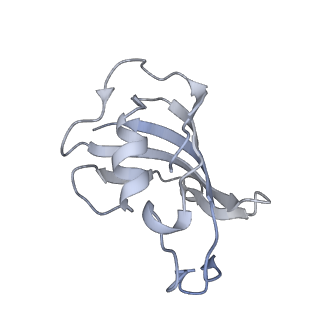 9520_5gl0_F_v1-3
Structure of RyR1 in a closed state (C4 conformer)