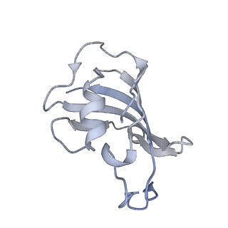 9520_5gl0_F_v1-4
Structure of RyR1 in a closed state (C4 conformer)