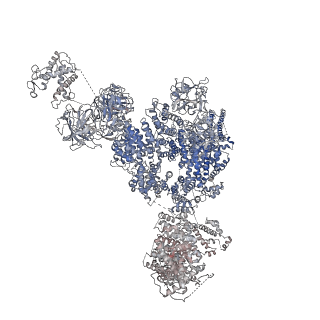 9520_5gl0_G_v1-3
Structure of RyR1 in a closed state (C4 conformer)