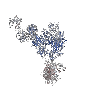 9520_5gl0_G_v1-4
Structure of RyR1 in a closed state (C4 conformer)