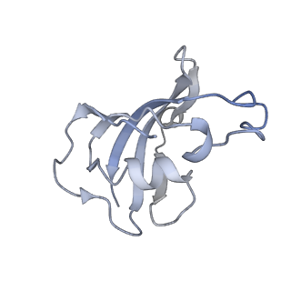 9520_5gl0_H_v1-3
Structure of RyR1 in a closed state (C4 conformer)