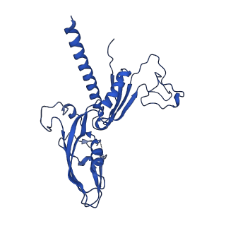 0031_6gmh_C_v1-3
Structure of activated transcription complex Pol II-DSIF-PAF-SPT6